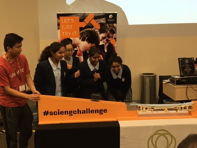 Bridge Weight Challenge