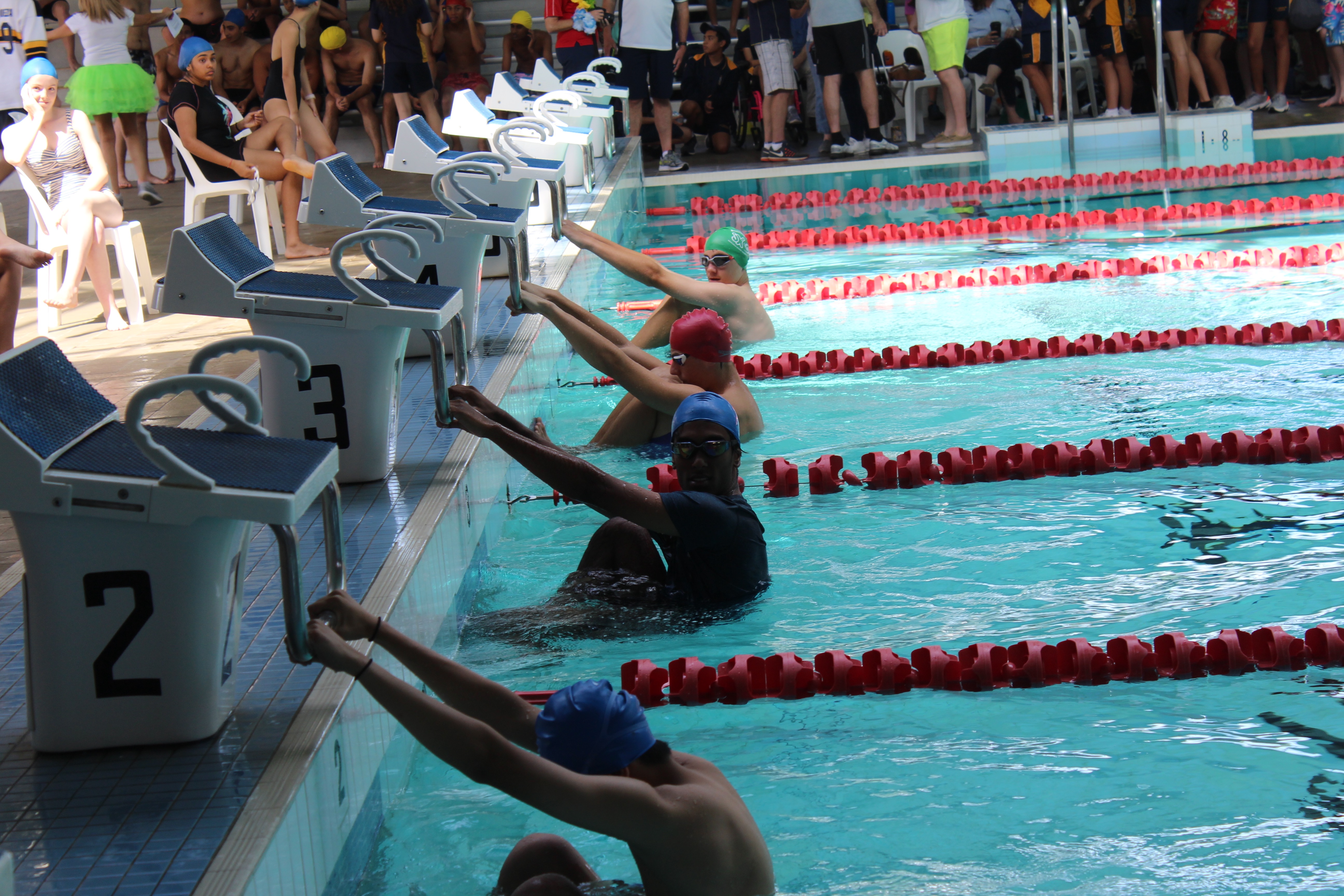 Pool Shot St Andrews Catholic College Marayong