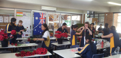Junior Campus Roses