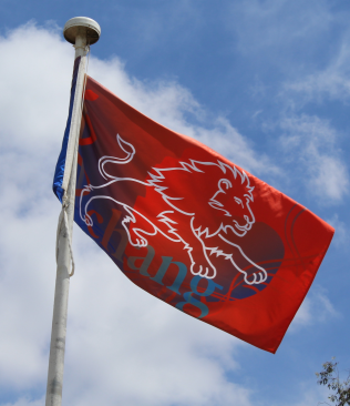 Chang Flag