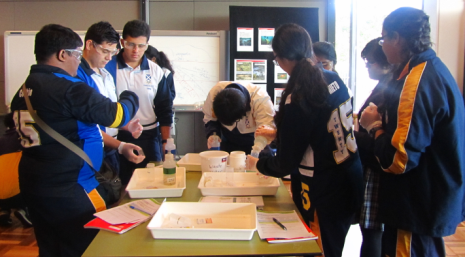 Year 12 Dam Photo 3