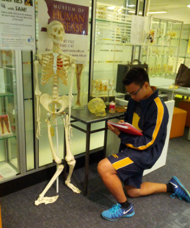 Biology and Senior Science