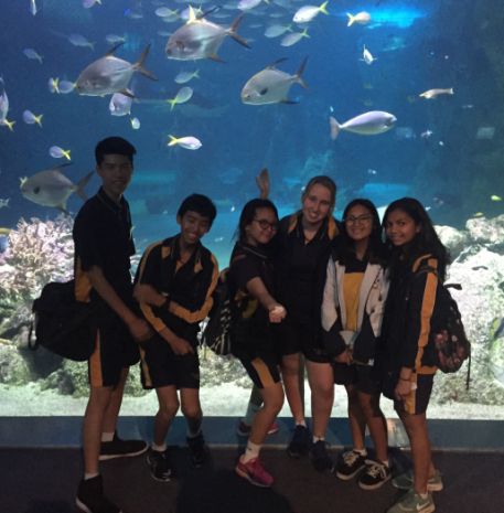 Year 9 Commerce Photo 2