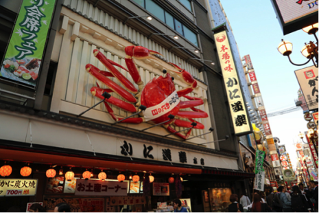 Japan study Pic 4