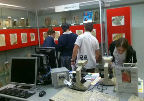 Museum of Human Disease Photo 1