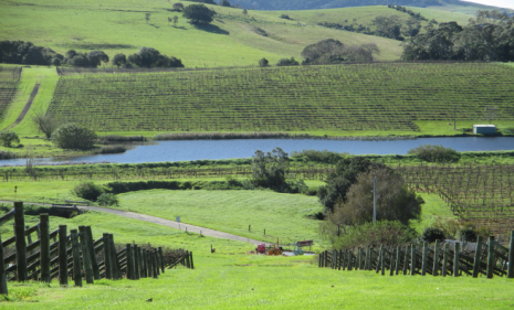 Year 12 Geo Field Trip South Coast Photo 2